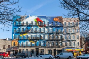 Audubon-Mural-Project