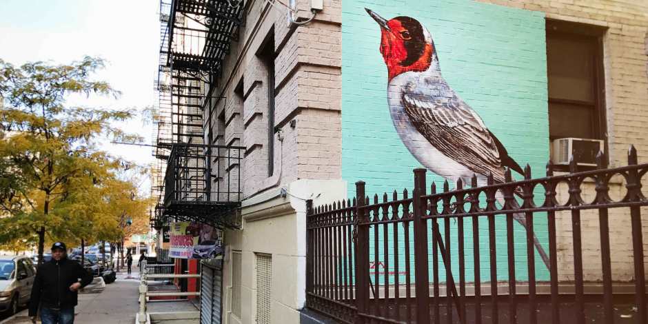 Audubon Mural